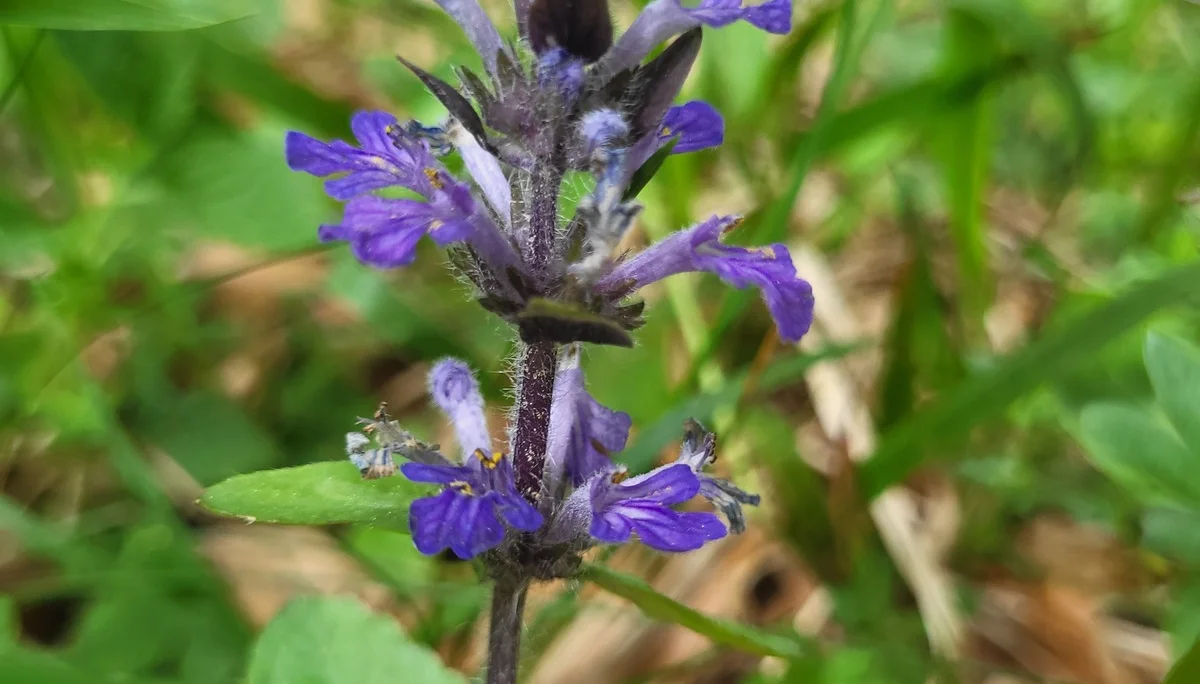 © DAV Augsburg Senioren