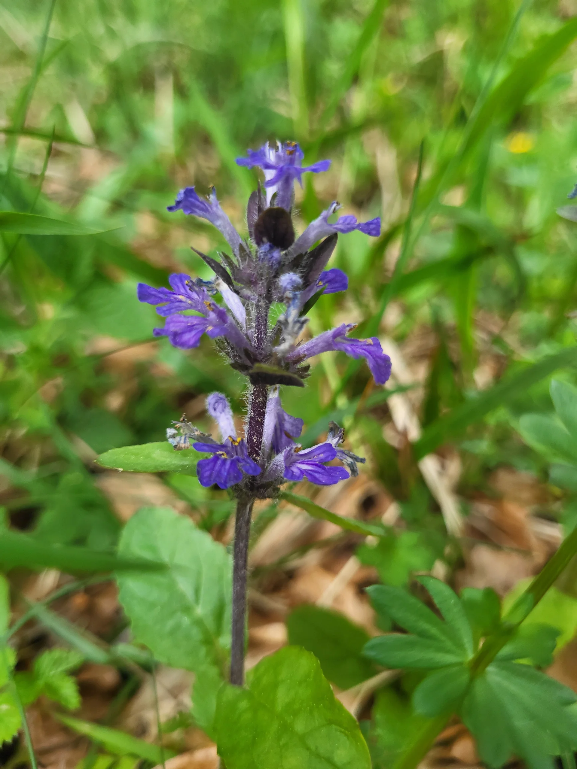 © DAV Augsburg Senioren