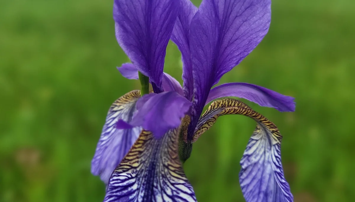 © DAV Augsburg Senioren