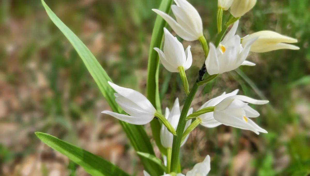 © DAV Augsburg Senioren