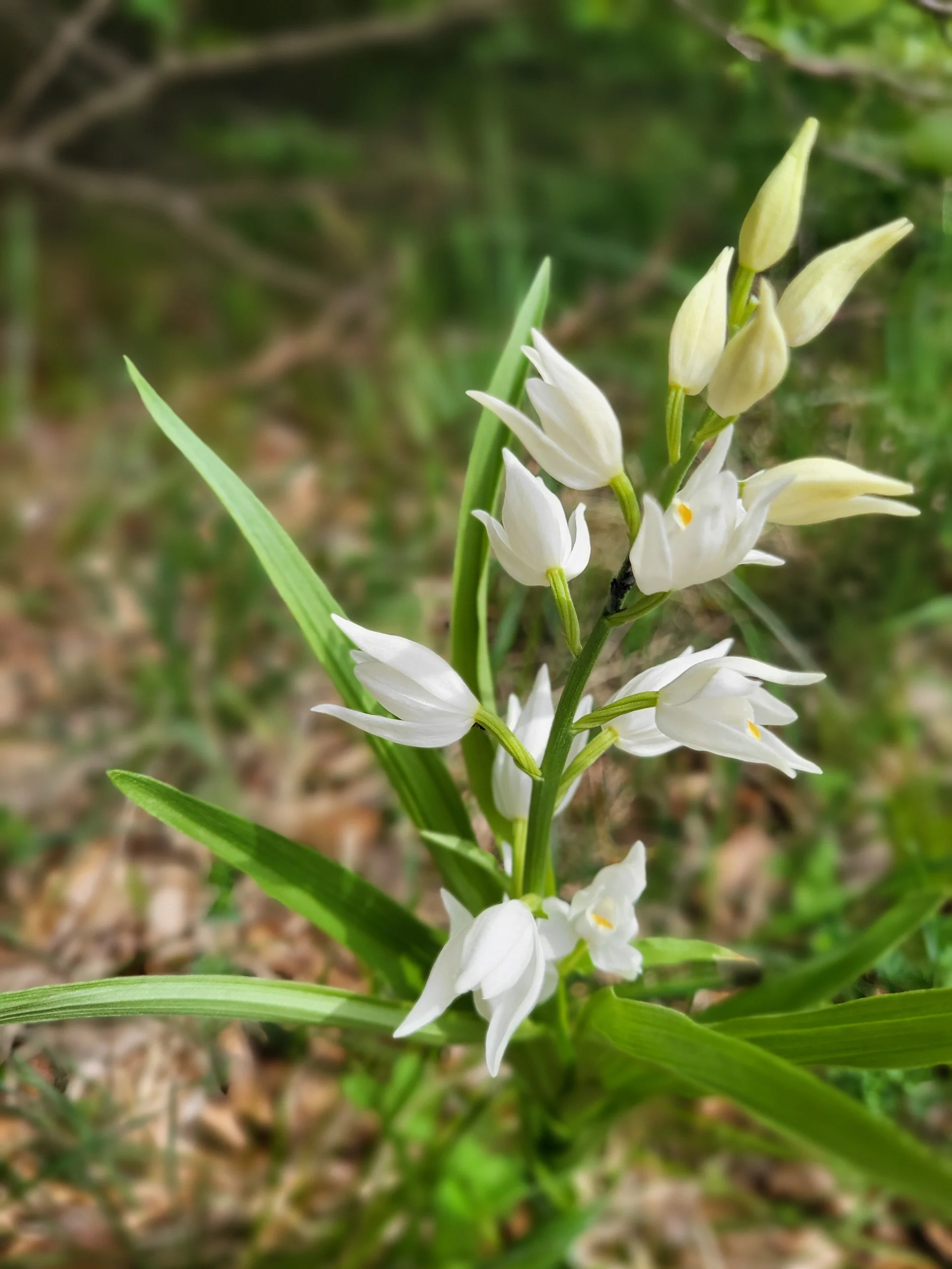 © DAV Augsburg Senioren