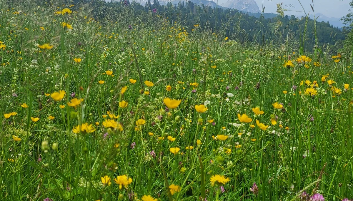 © DAV Augsburg Senioren