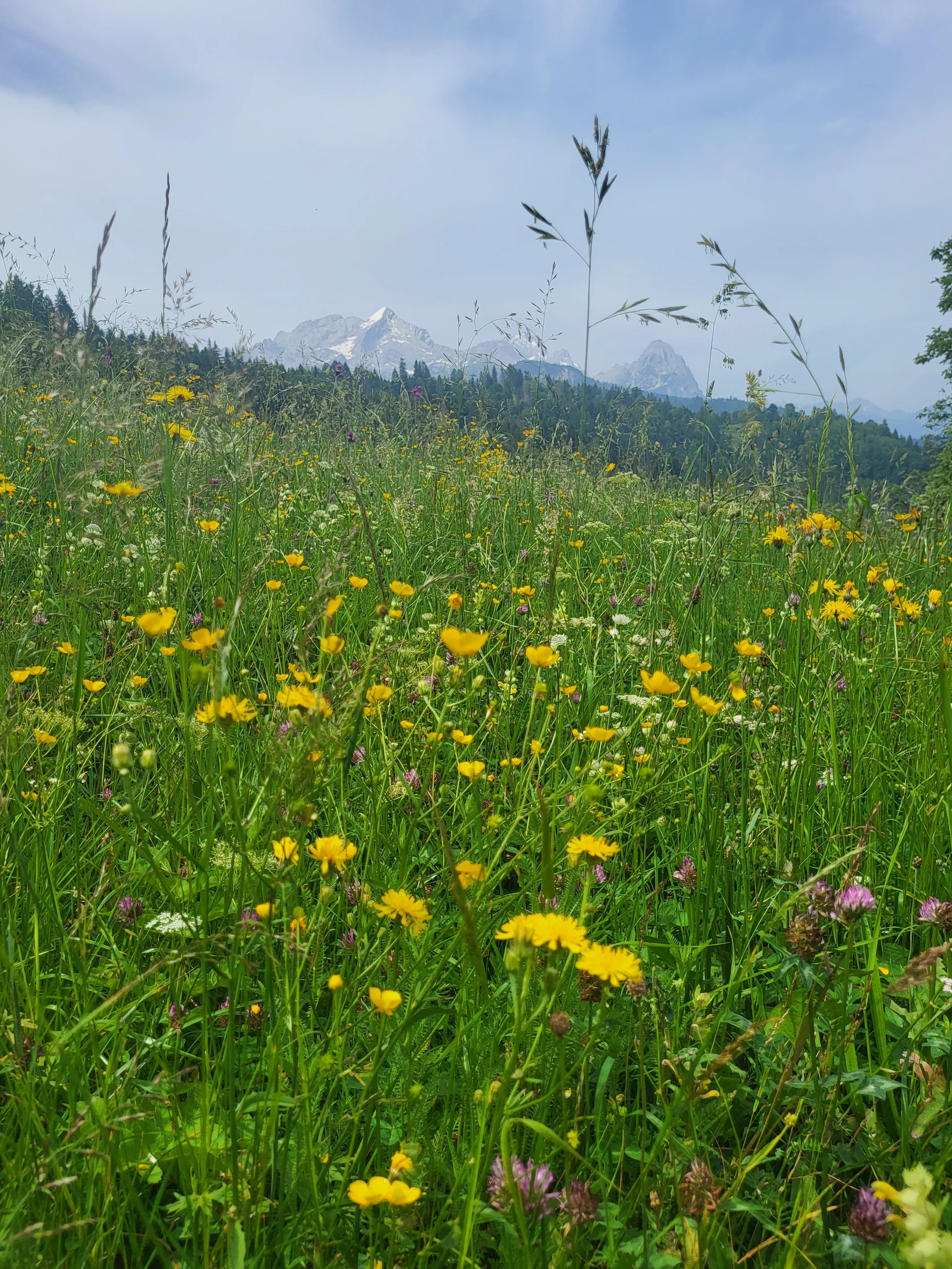 © DAV Augsburg Senioren