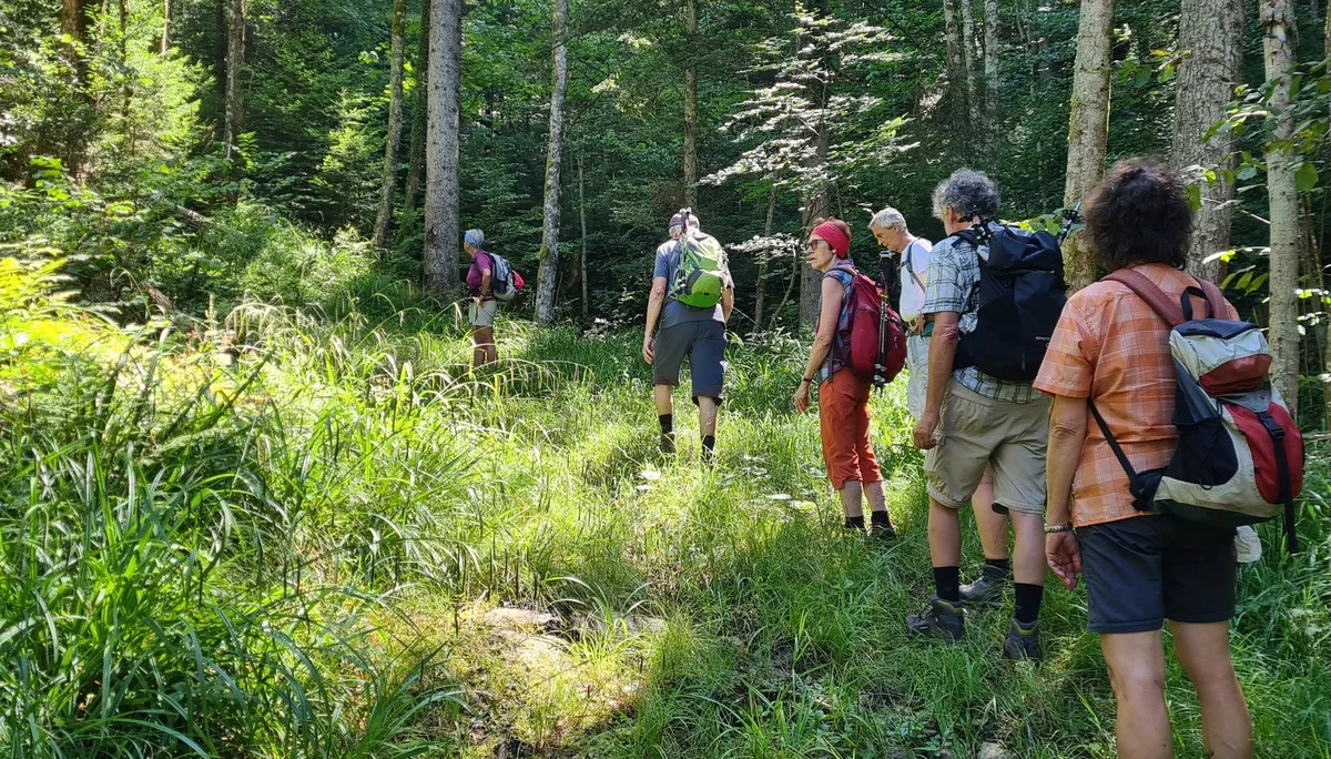 Auf der Suche nach dem Weg | © DAV Augsburg Senioren