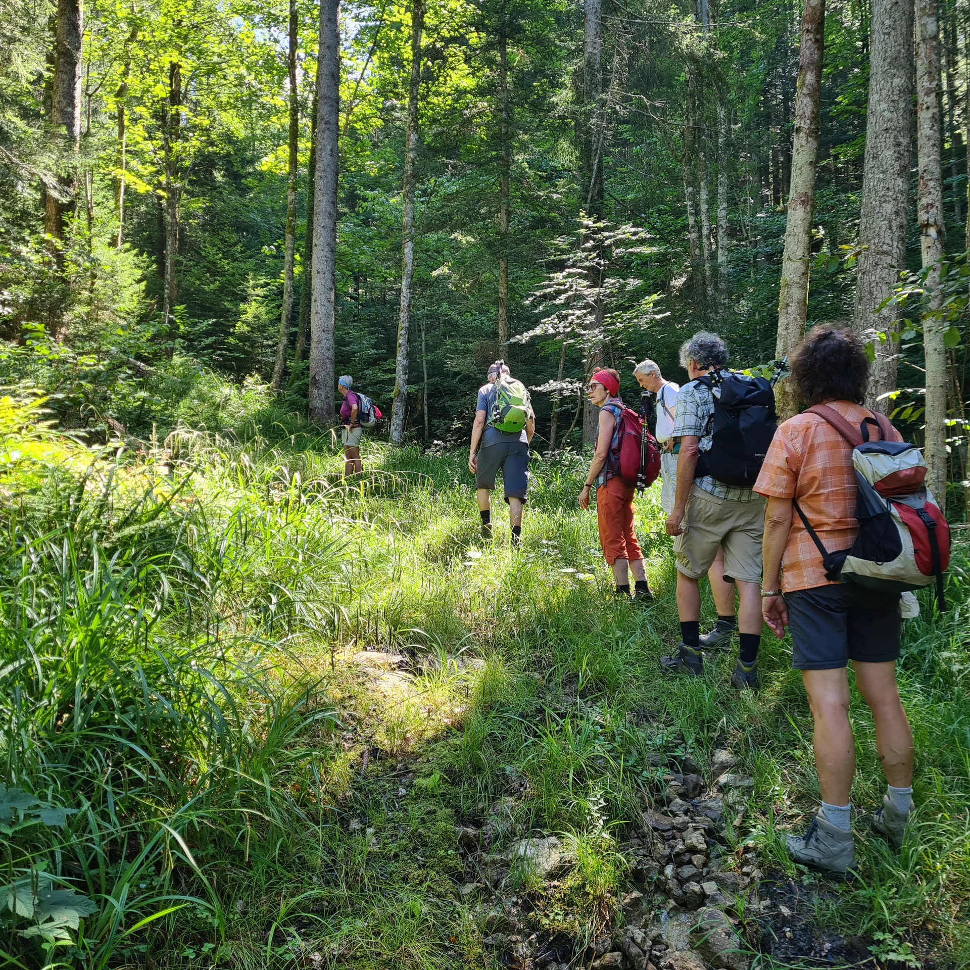 Auf der Suche nach dem Weg | © DAV Augsburg Senioren