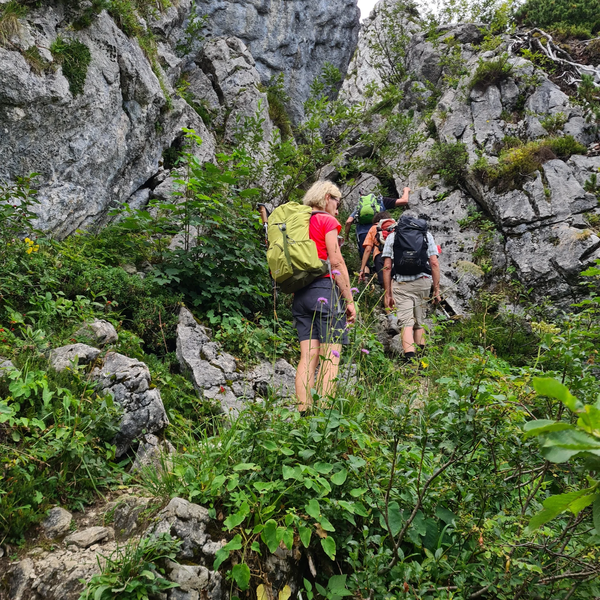 Einstieg in die Felsige Passage | © DAV Augsburg Senioren
