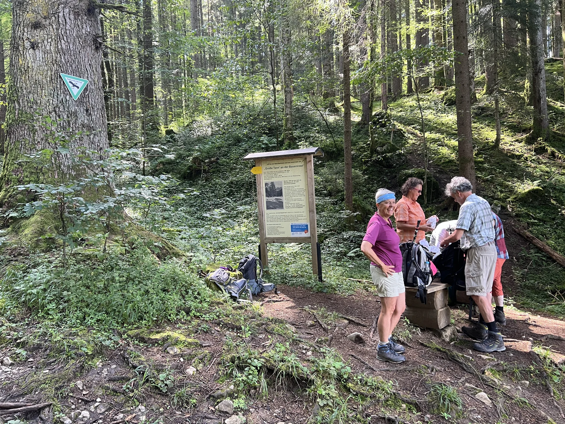 Rast bei der Großen Tann (Lenggries Fleck) | © DAV Augsburg Senioren