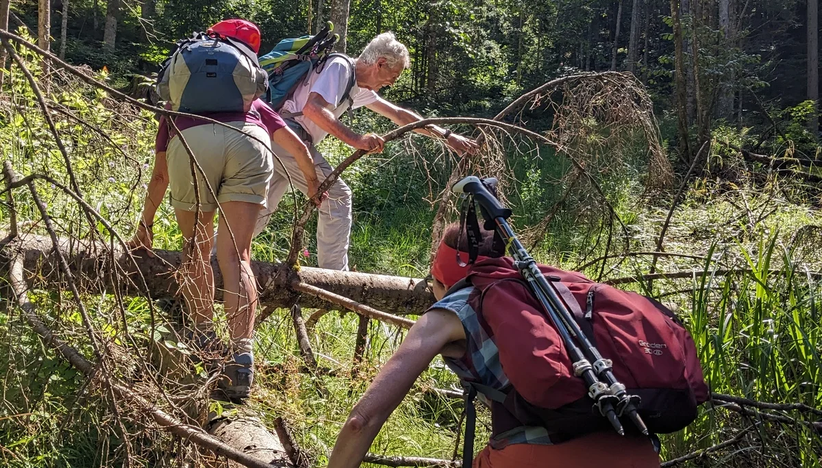 Mitten durch den Wald nach Maria Eck | © DAV Augsburg Senioren