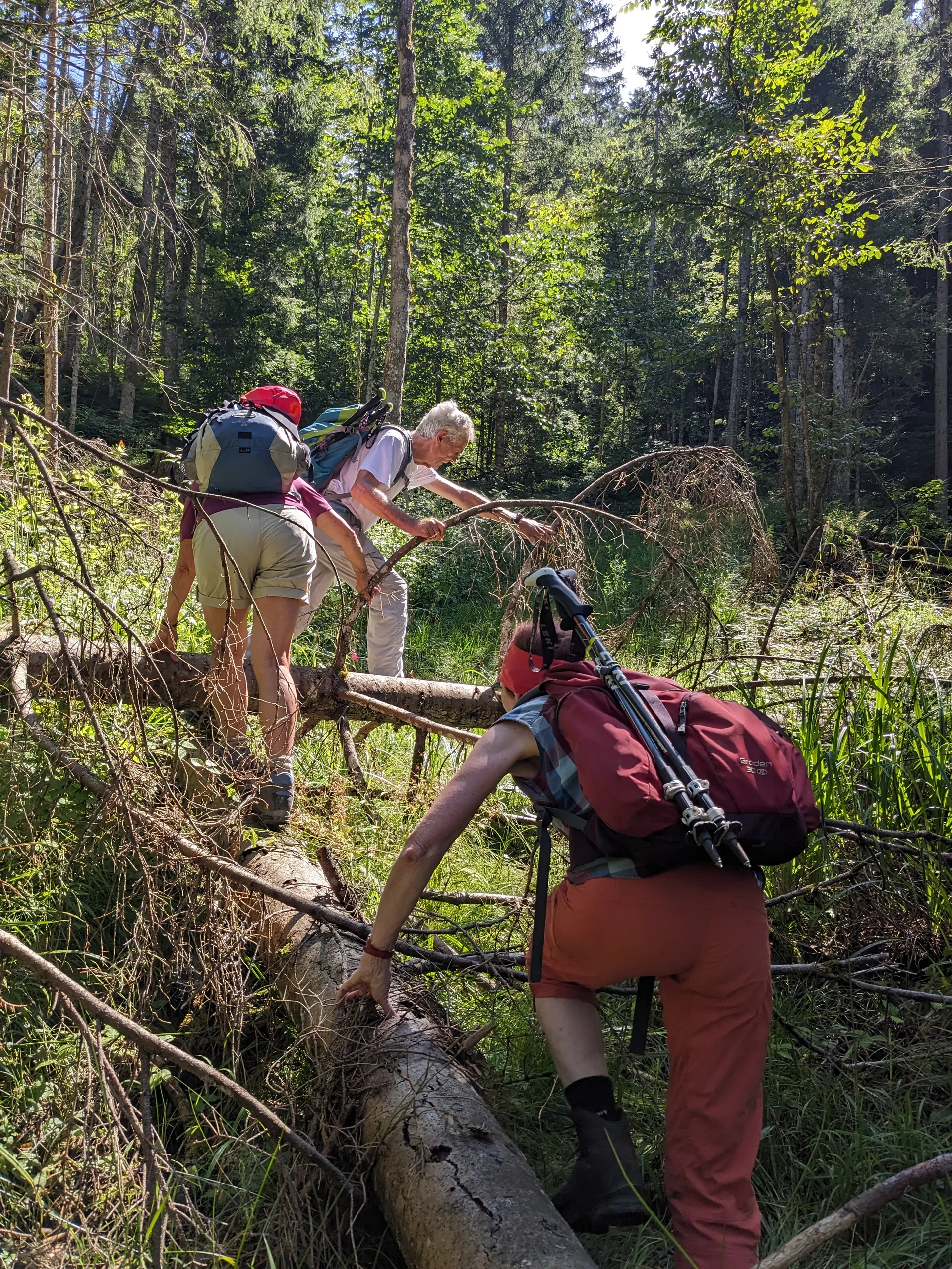 Mitten durch den Wald nach Maria Eck | © DAV Augsburg Senioren