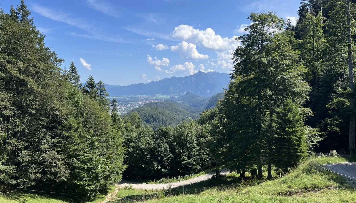 Blick von der Saloberalm auf Füssen und die Ammergauer Alpen mit Säuling | © DAV Augsburg Senioren