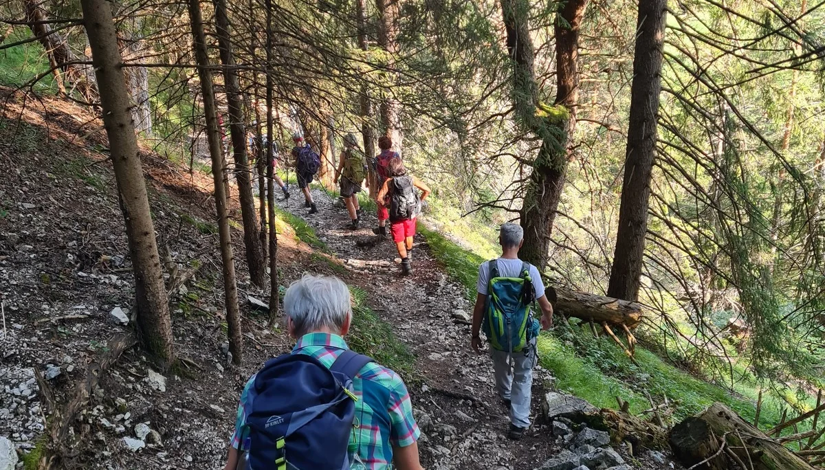 Abstieg vom Falkenstein nach Pfronten-Steinach | © DAV Augsburg Senioren