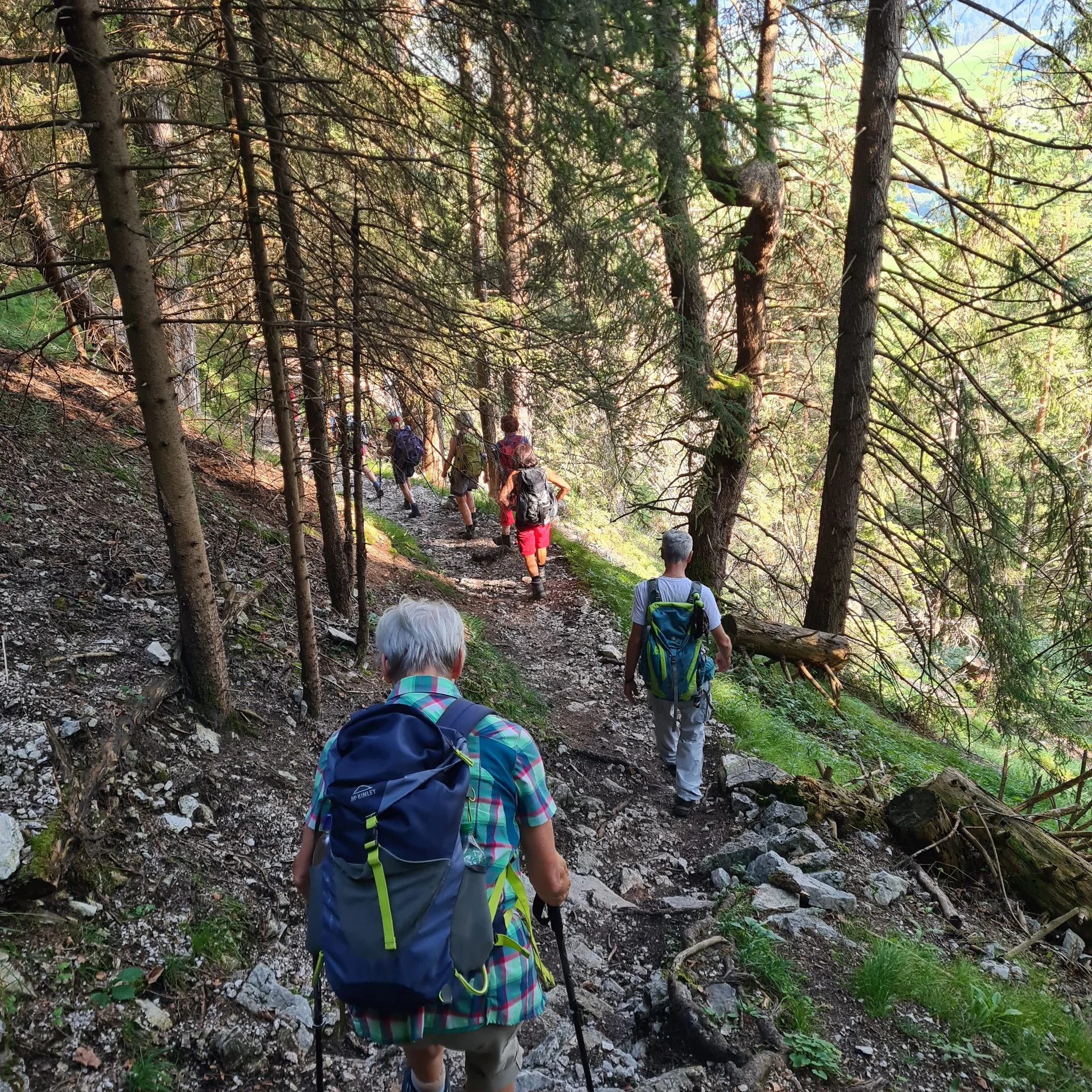 Abstieg vom Falkenstein nach Pfronten-Steinach | © DAV Augsburg Senioren
