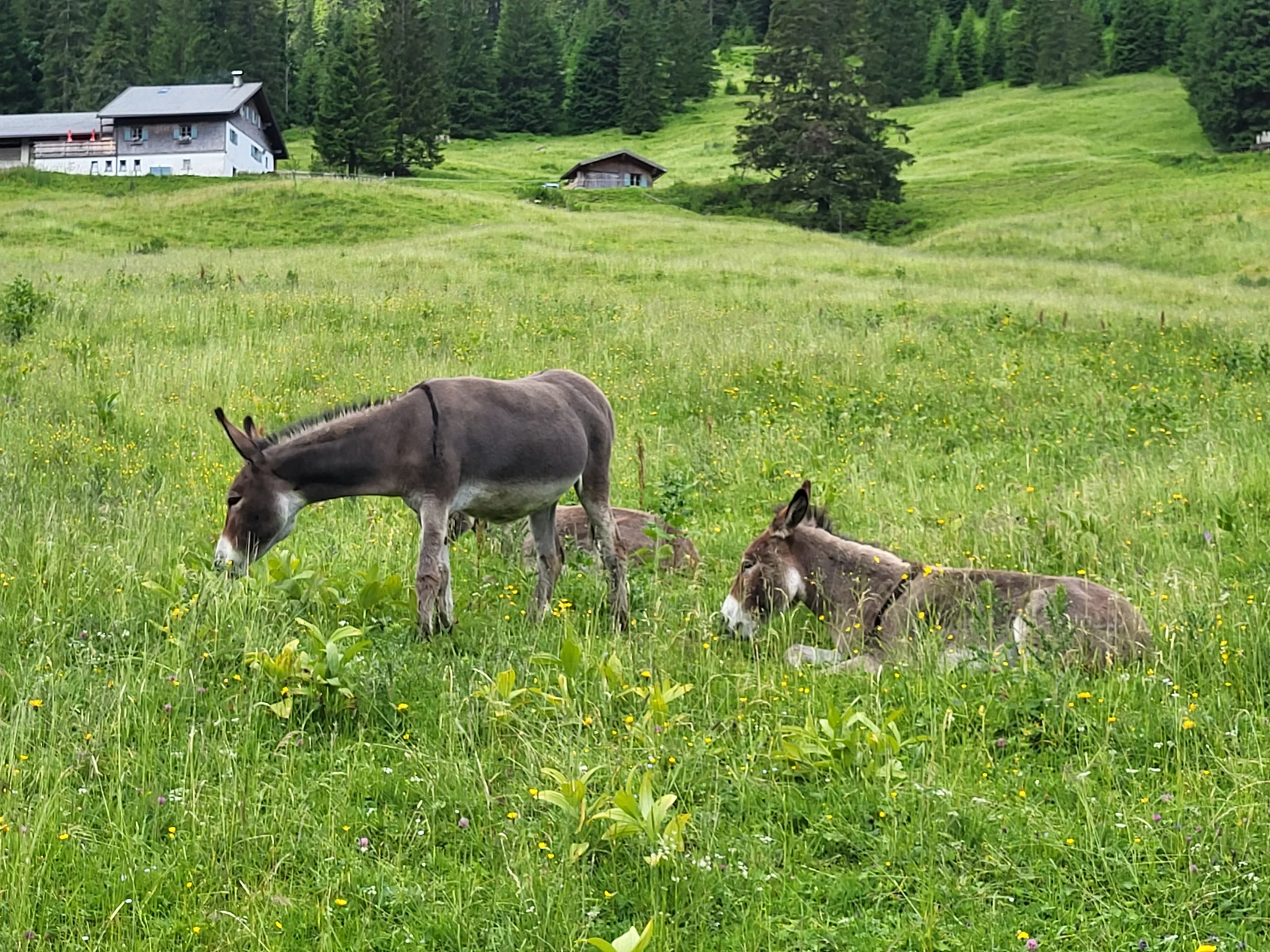 © DAV Augsburg Senioren