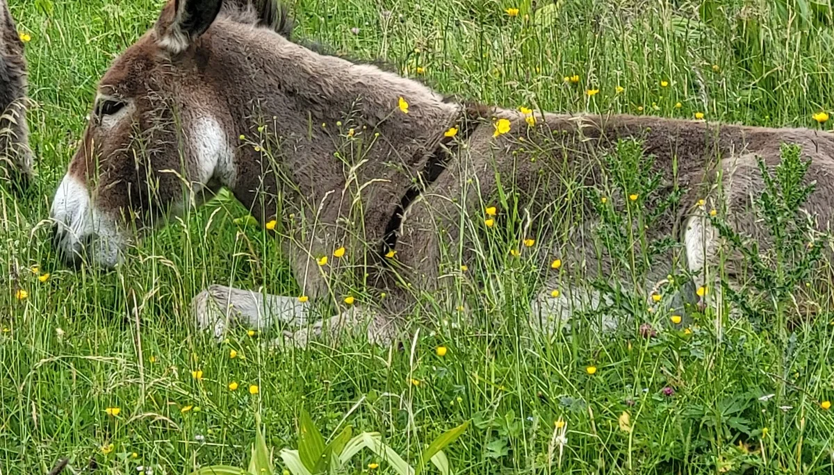 © DAV Augsburg Senioren