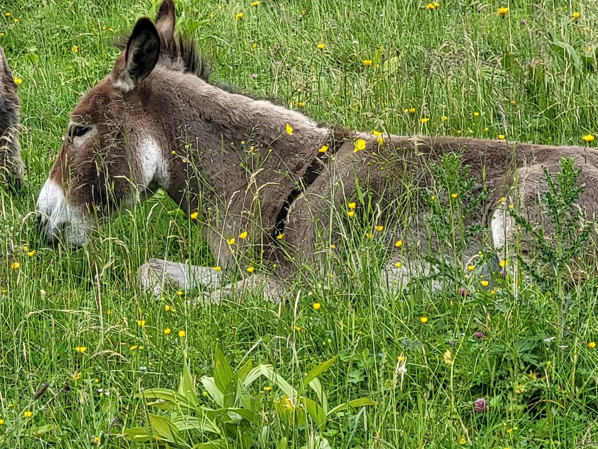 © DAV Augsburg Senioren