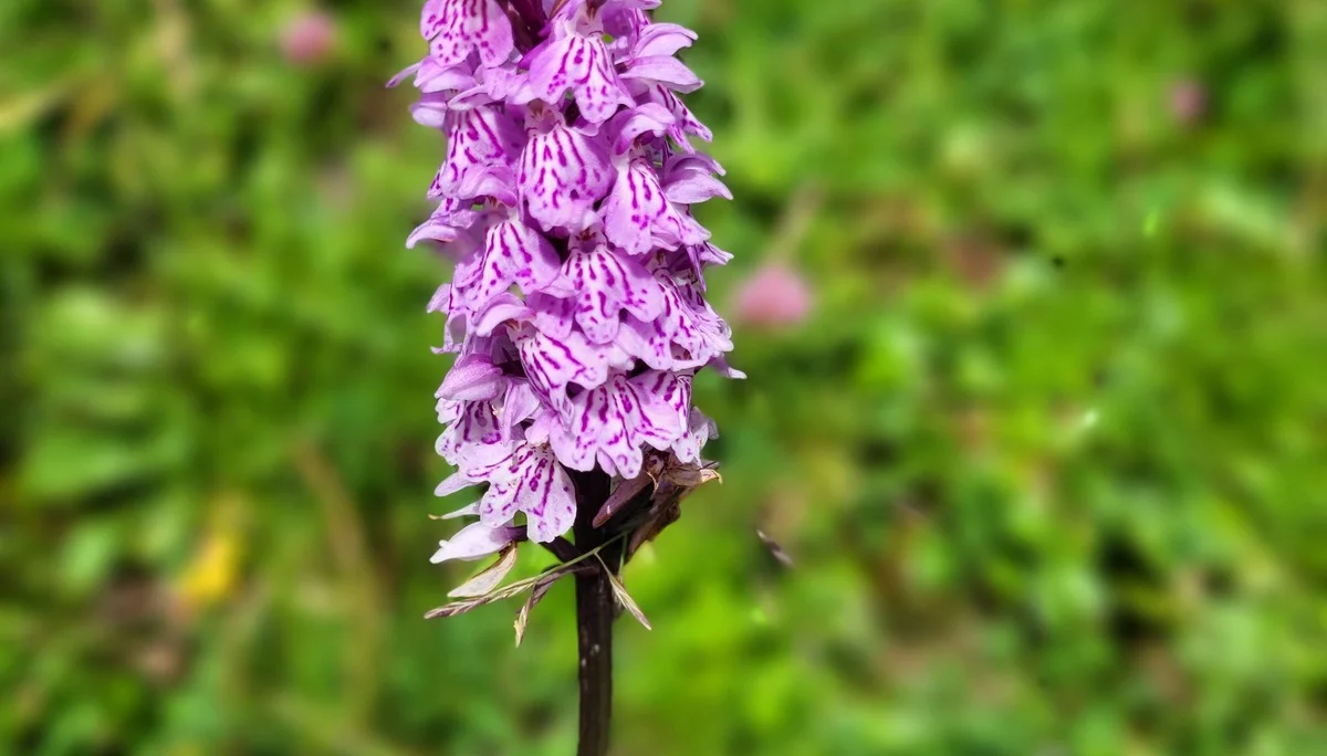 © DAV Augsburg Senioren