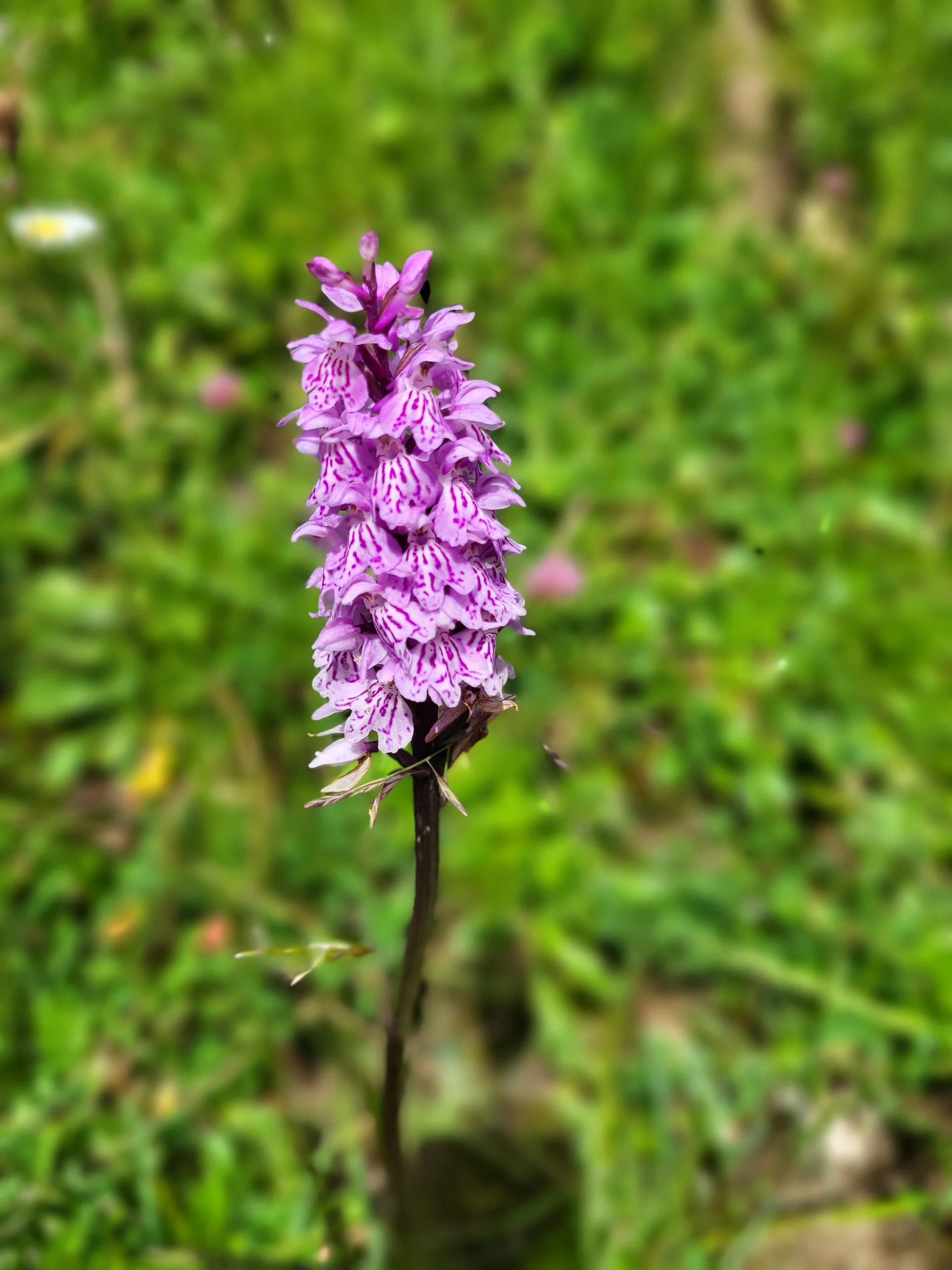 © DAV Augsburg Senioren