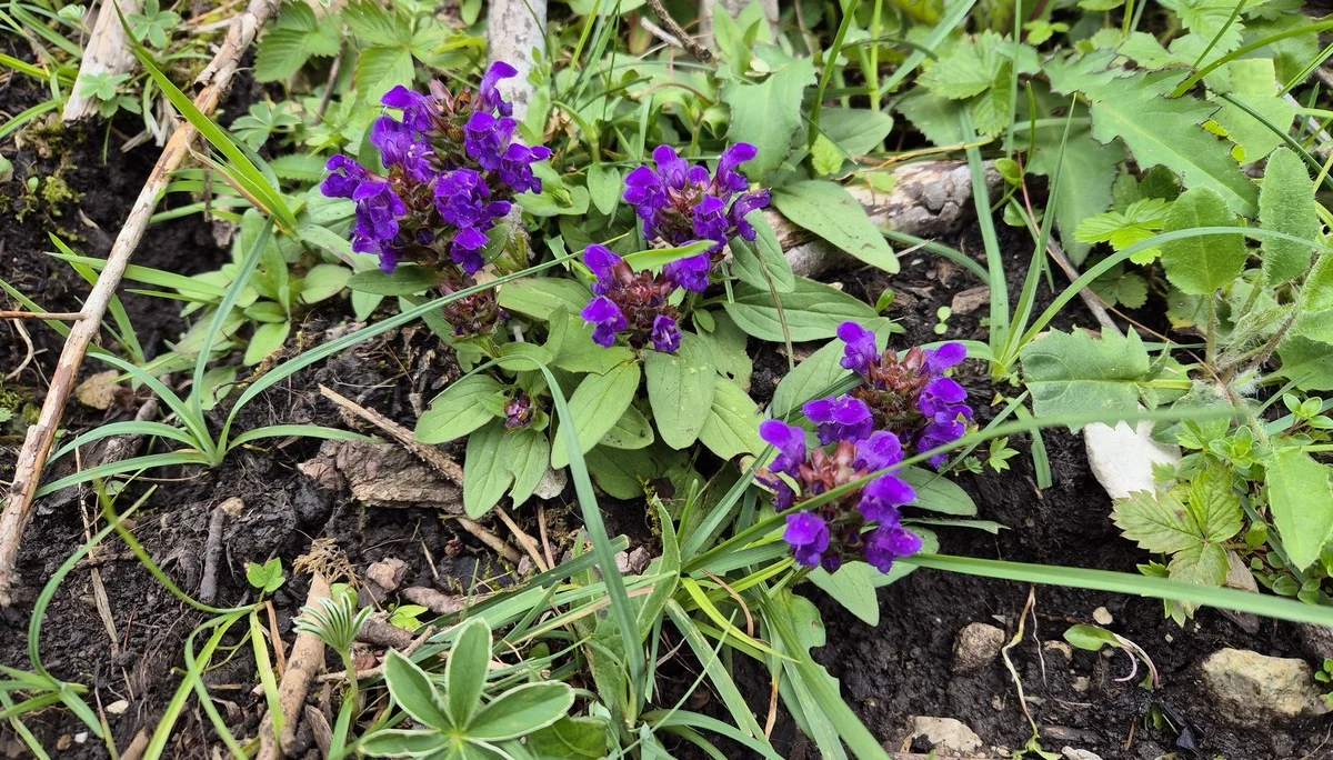 © DAV Augsburg Senioren