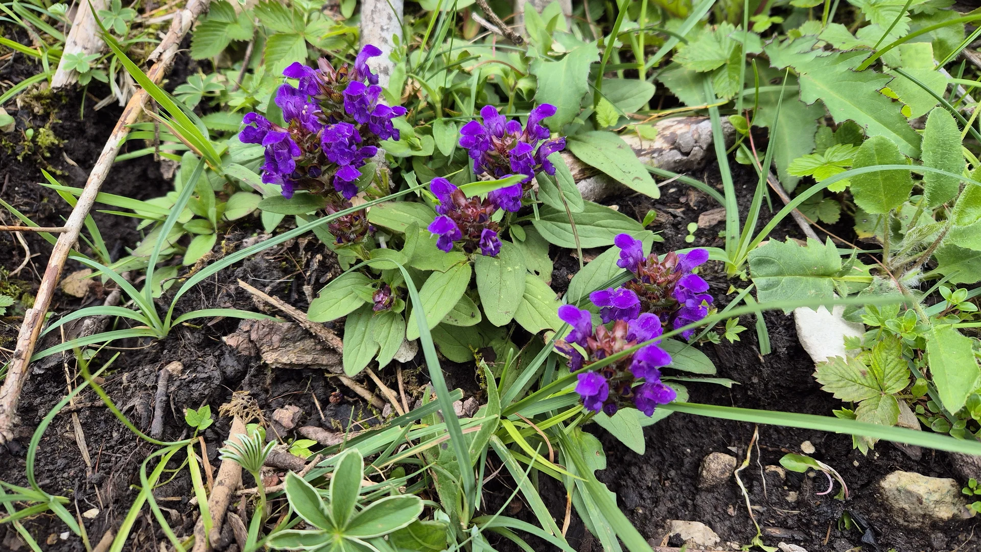 © DAV Augsburg Senioren