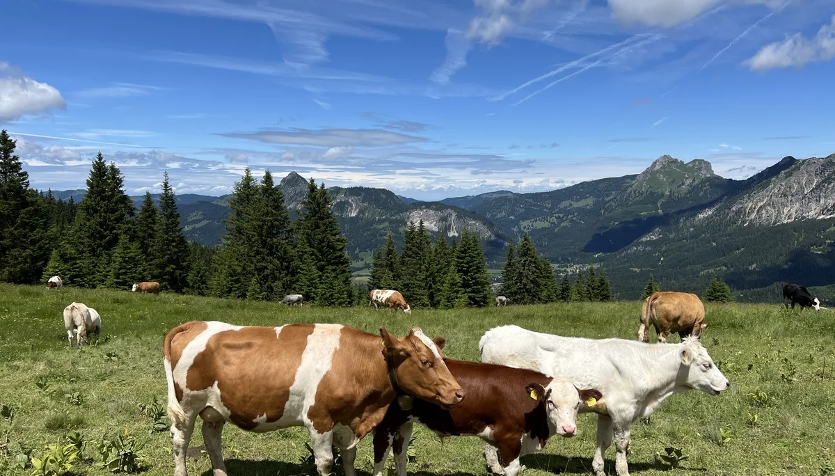 © DAV Augsburg Senioren