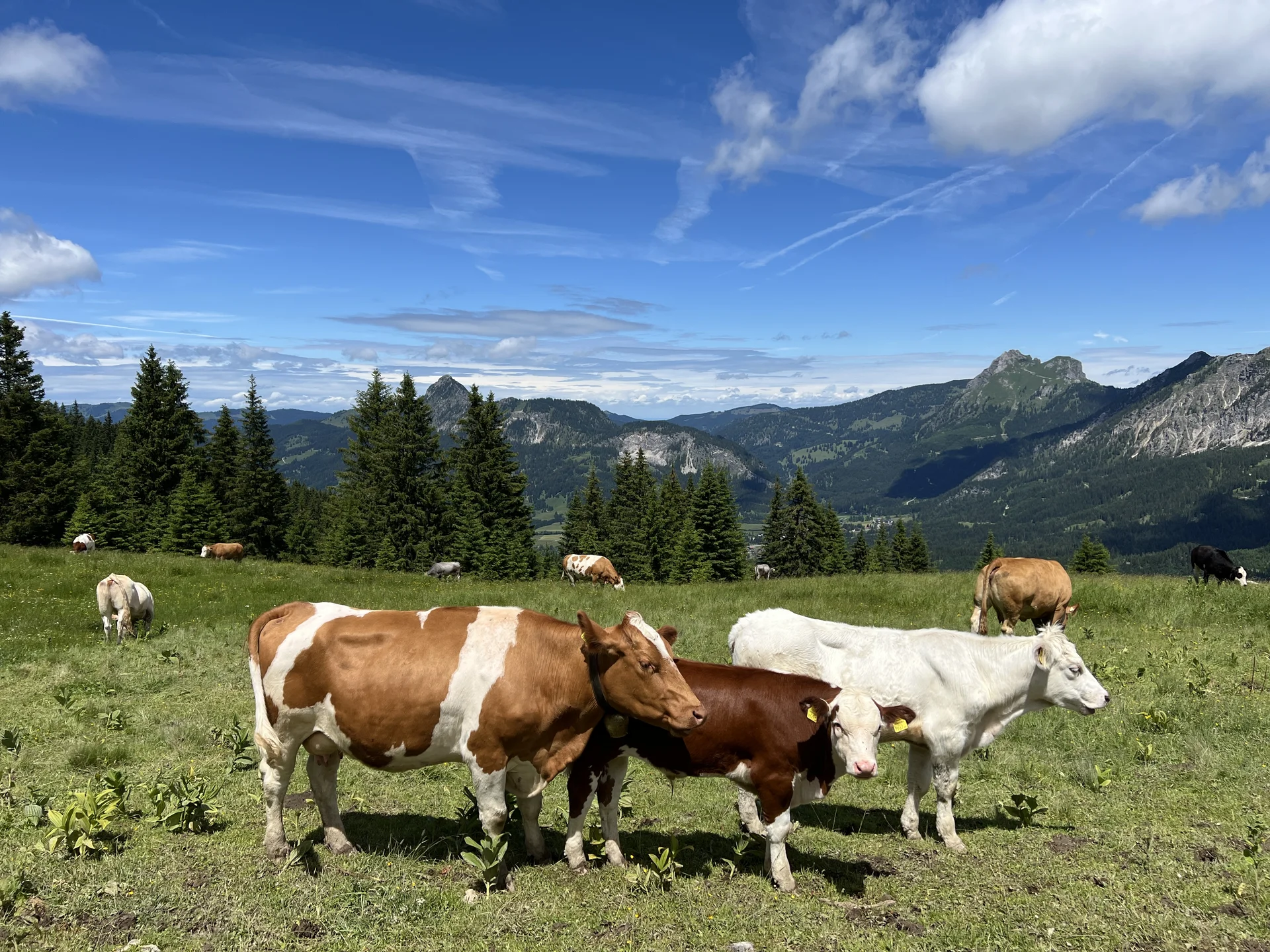 © DAV Augsburg Senioren