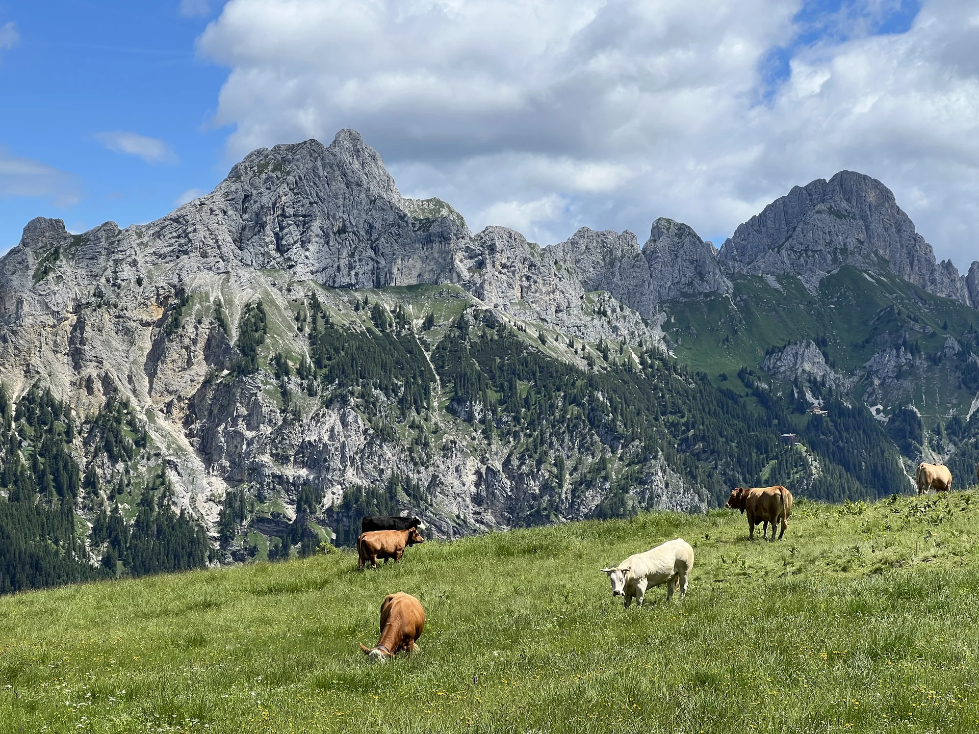 © DAV Augsburg Senioren