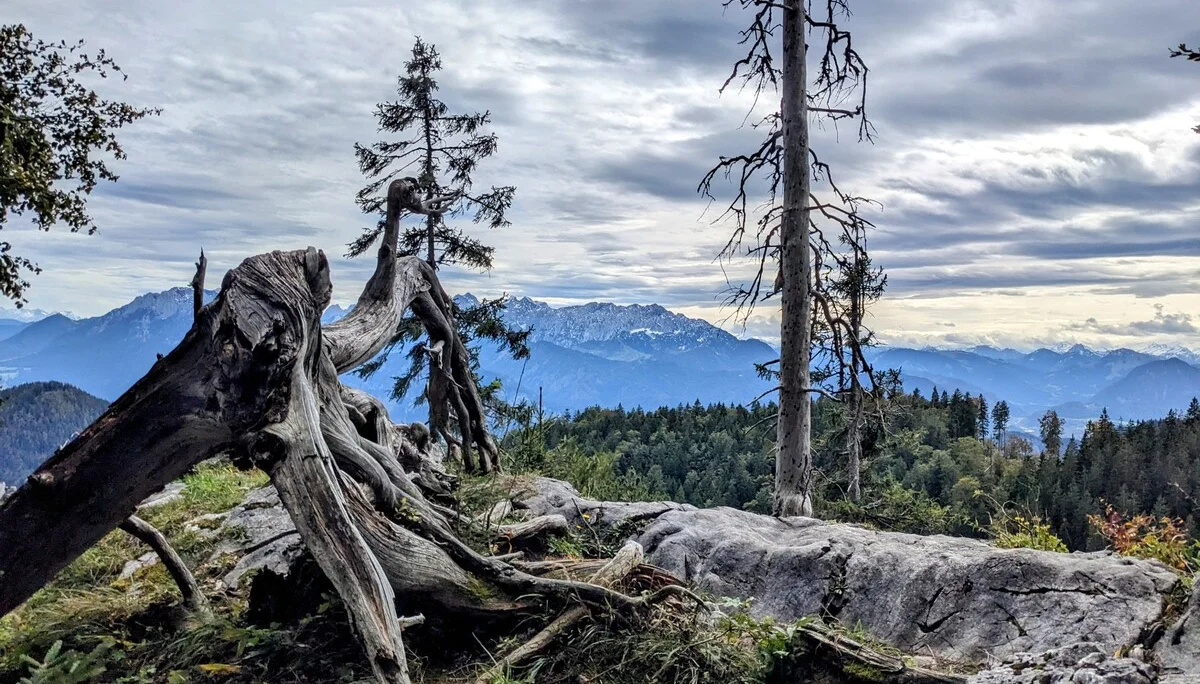 Aufstieg zum Brünnsteinhaus - im Hintergrund Kaisergebirge und Hohe Tauern | © DAV Augsburg Senioren