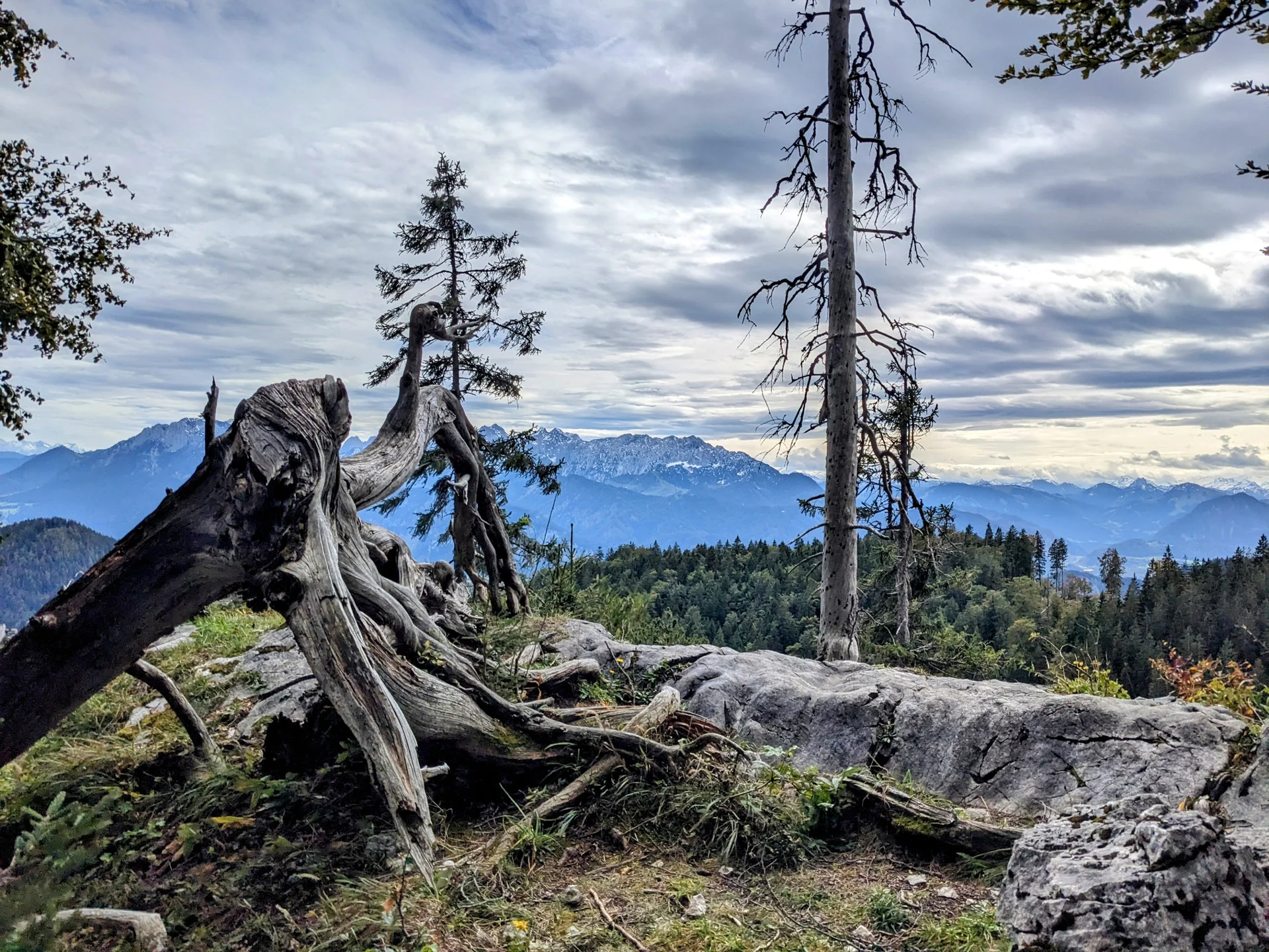 Aufstieg zum Brünnsteinhaus - im Hintergrund Kaisergebirge und Hohe Tauern | © DAV Augsburg Senioren