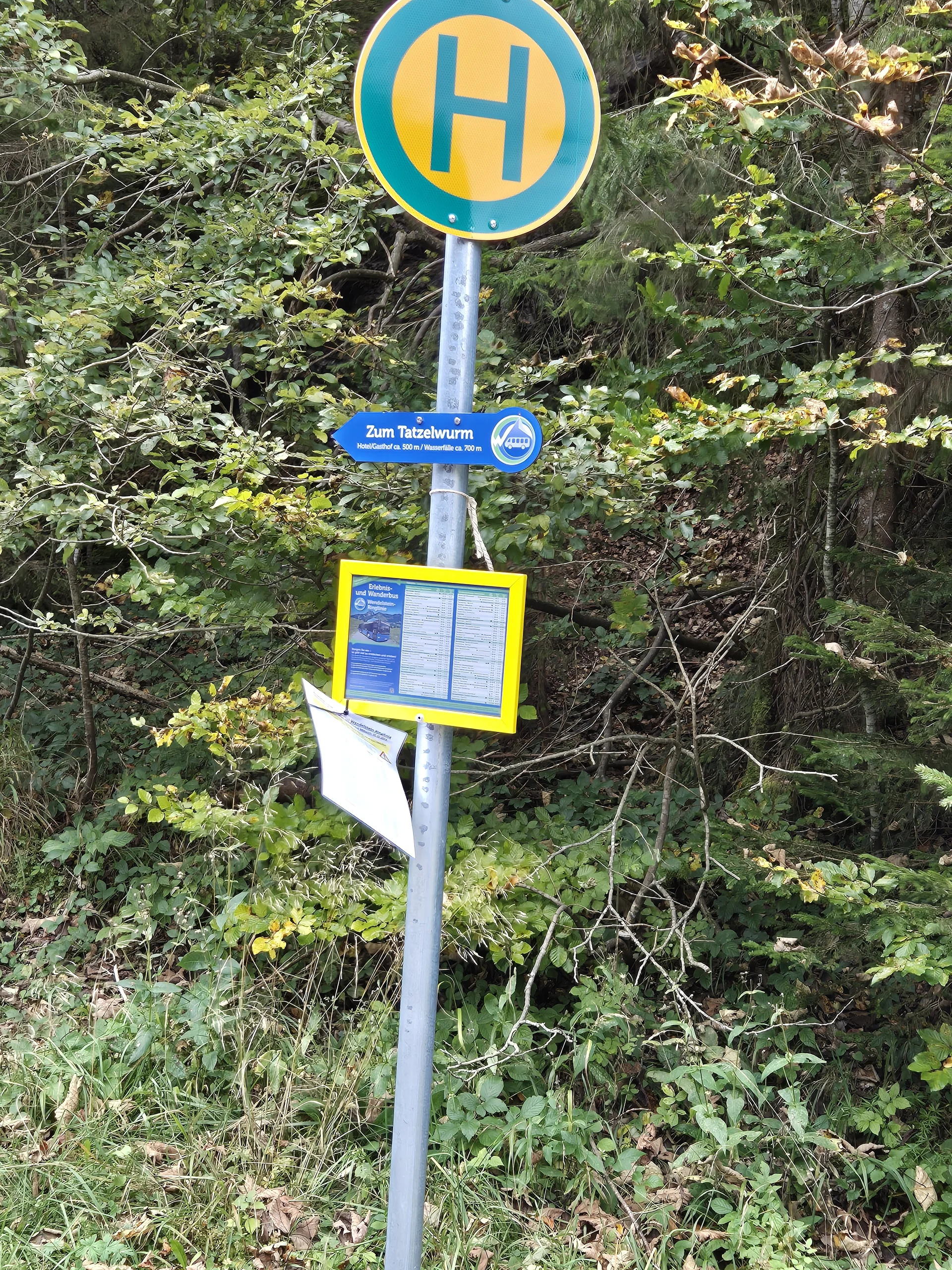 Tatzelwurmstraße, Haltestelle Hohe Asten | © DAV Augsburg Senioren
