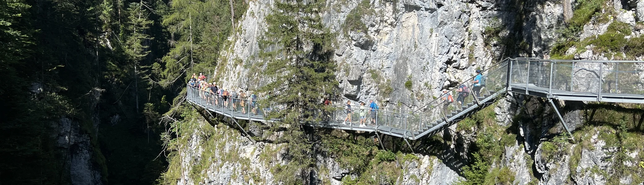 Blick von der Panoramabrücke auf den Weg durch die Leutaschklamm | © DAV Augsburg Senioren