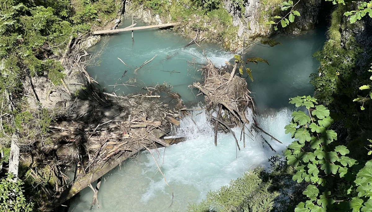 Schwemmholz in der Leutaschklamm | © DAV Augsburg Senioren