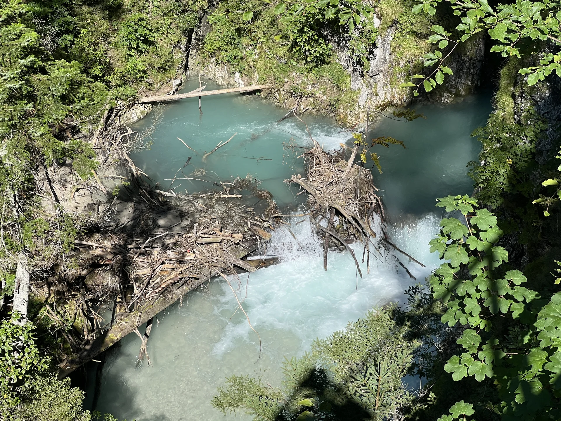 Schwemmholz in der Leutaschklamm | © DAV Augsburg Senioren