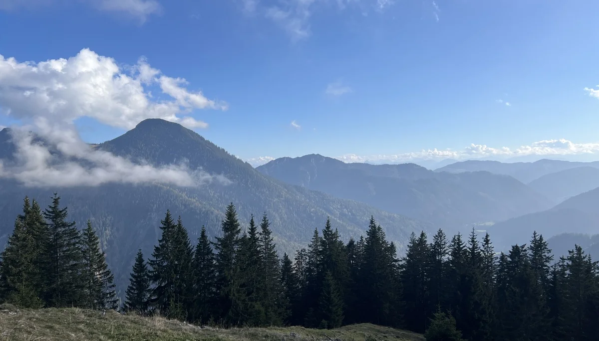 Auf dem Seebergkopf (1.538 m) - Blick nach Süden in Ursprungtal und zu den Hohen Tauern | © DAV Augsburg Senioren
