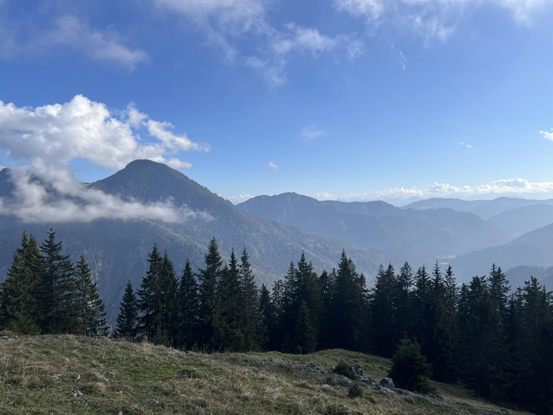 Auf dem Seebergkopf (1.538 m) - Blick nach Süden in Ursprungtal und zu den Hohen Tauern | © DAV Augsburg Senioren