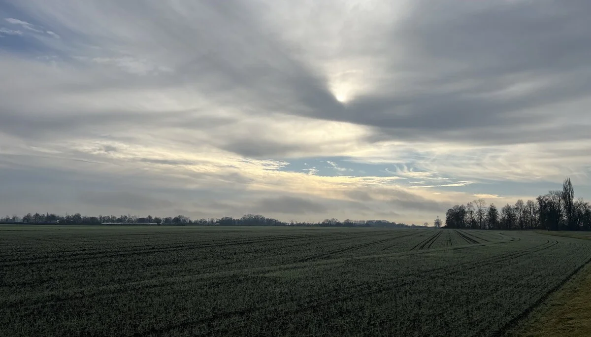 Herbststimmung zwischen Bahnhof Mertingen und dem Ortsteil Burghöfe | © DAV Augsburg Senioren