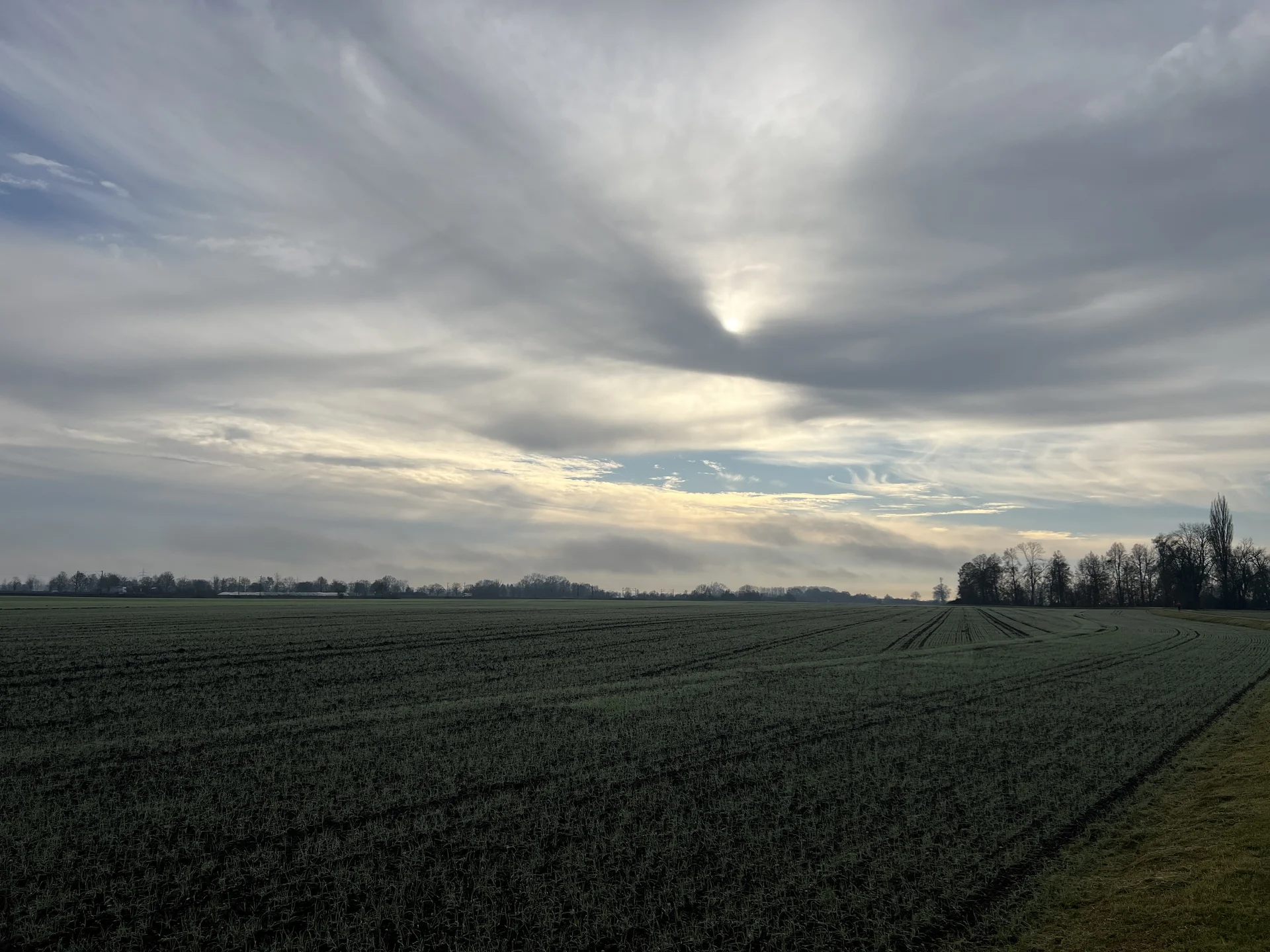 Herbststimmung zwischen Bahnhof Mertingen und dem Ortsteil Burghöfe | © DAV Augsburg Senioren