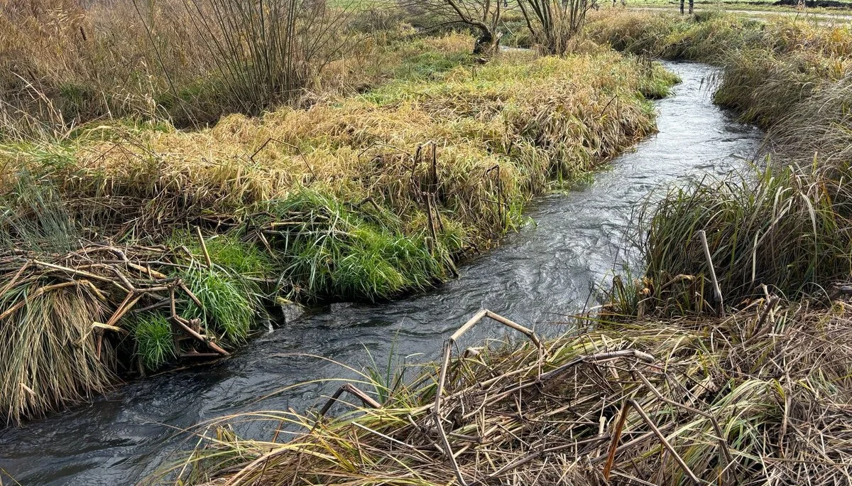 Im Schuttertal zwischen Druisheim und Allmannshofen | © DAV Augsburg Senioren