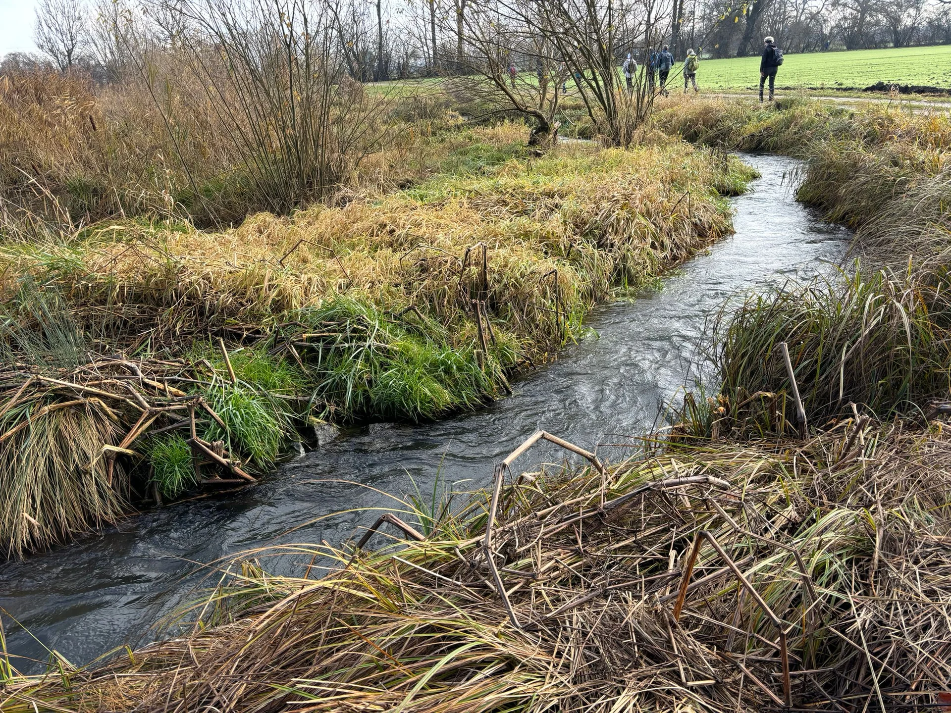 Im Schuttertal zwischen Druisheim und Allmannshofen | © DAV Augsburg Senioren
