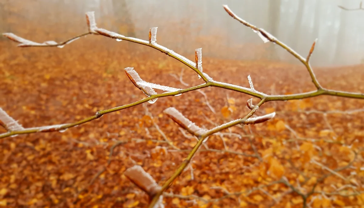 © DAV Augsburg Senioren