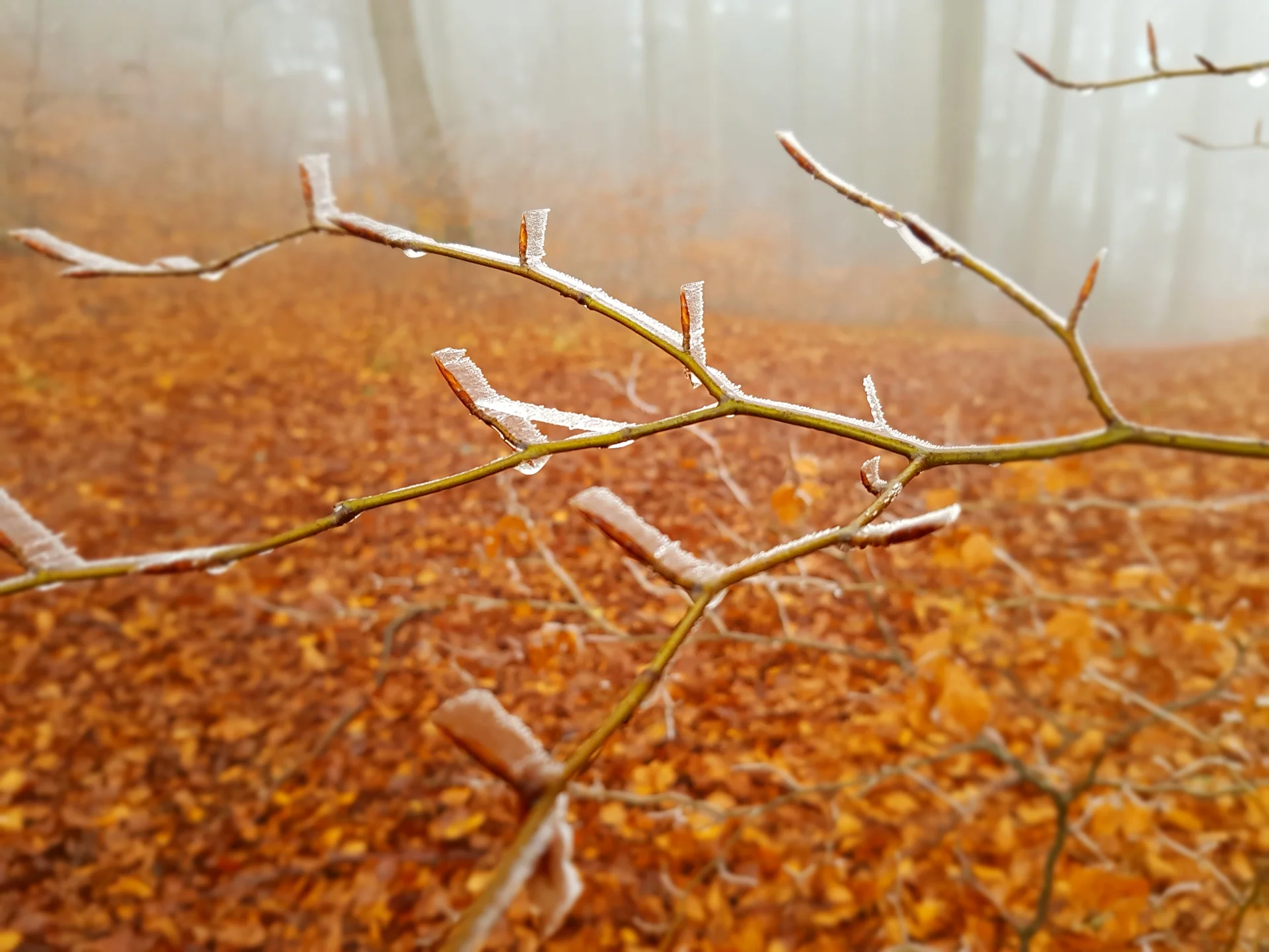 © DAV Augsburg Senioren