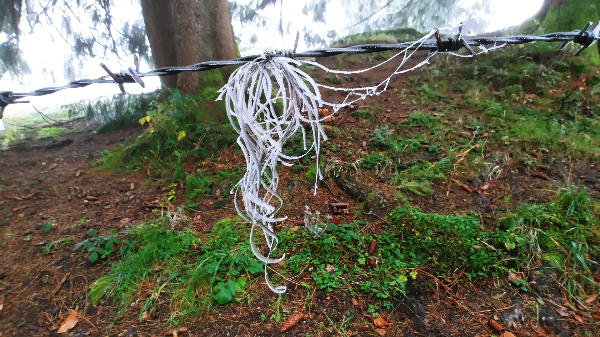 © DAV Augsburg Senioren