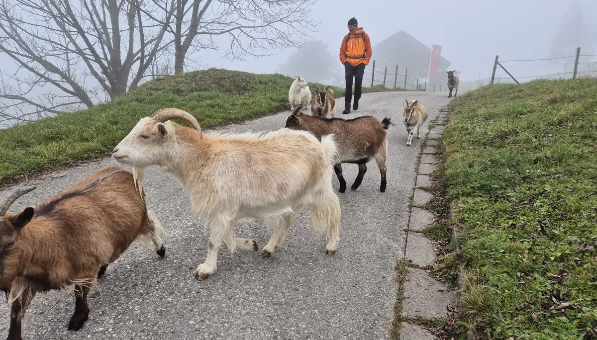 © DAV Augsburg Senioren