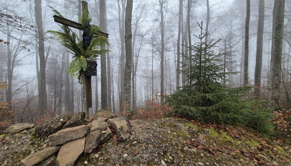 Senkelekopf | © DAV Augsburg Senioren