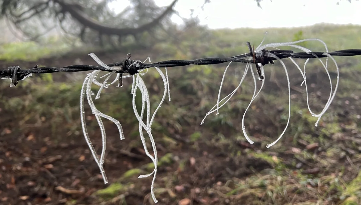 Eisfäden am Zwieselberg | © DAV Augsburg Senioren