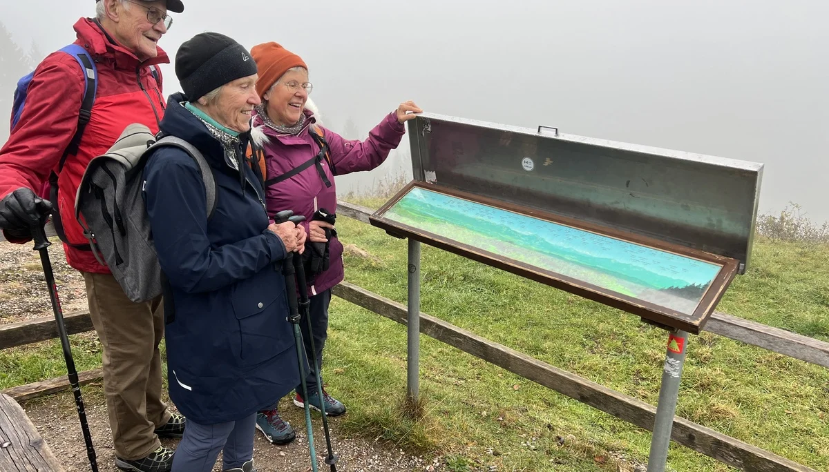 Teilnehmer*innen der Gruppe B genießen die Aussicht am Zwieselberg | © DAV Augsburg Senioren