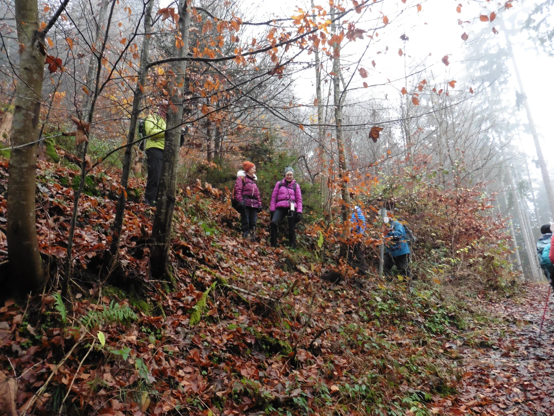 © DAV Augsburg Senioren