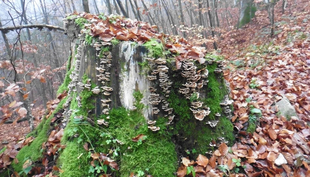 © DAV Augsburg Senioren