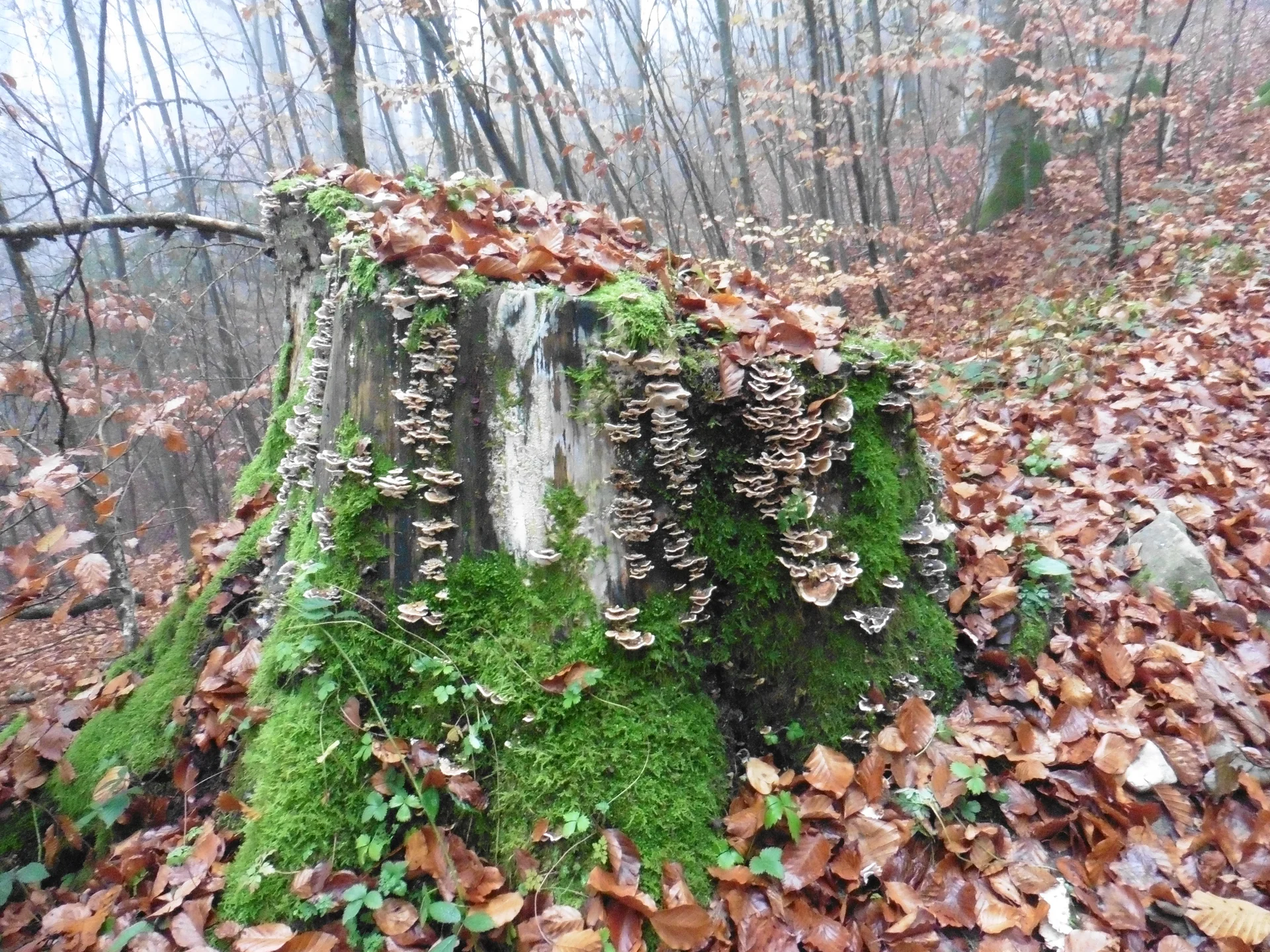 © DAV Augsburg Senioren