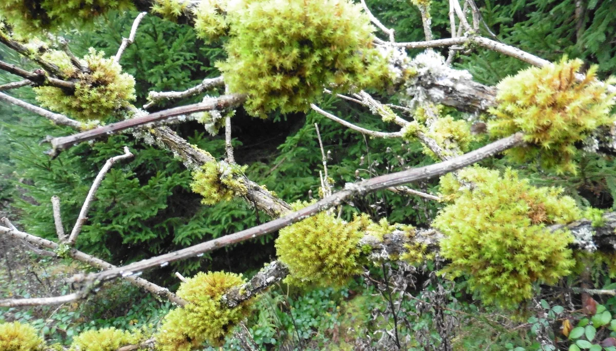 © DAV Augsburg Senioren