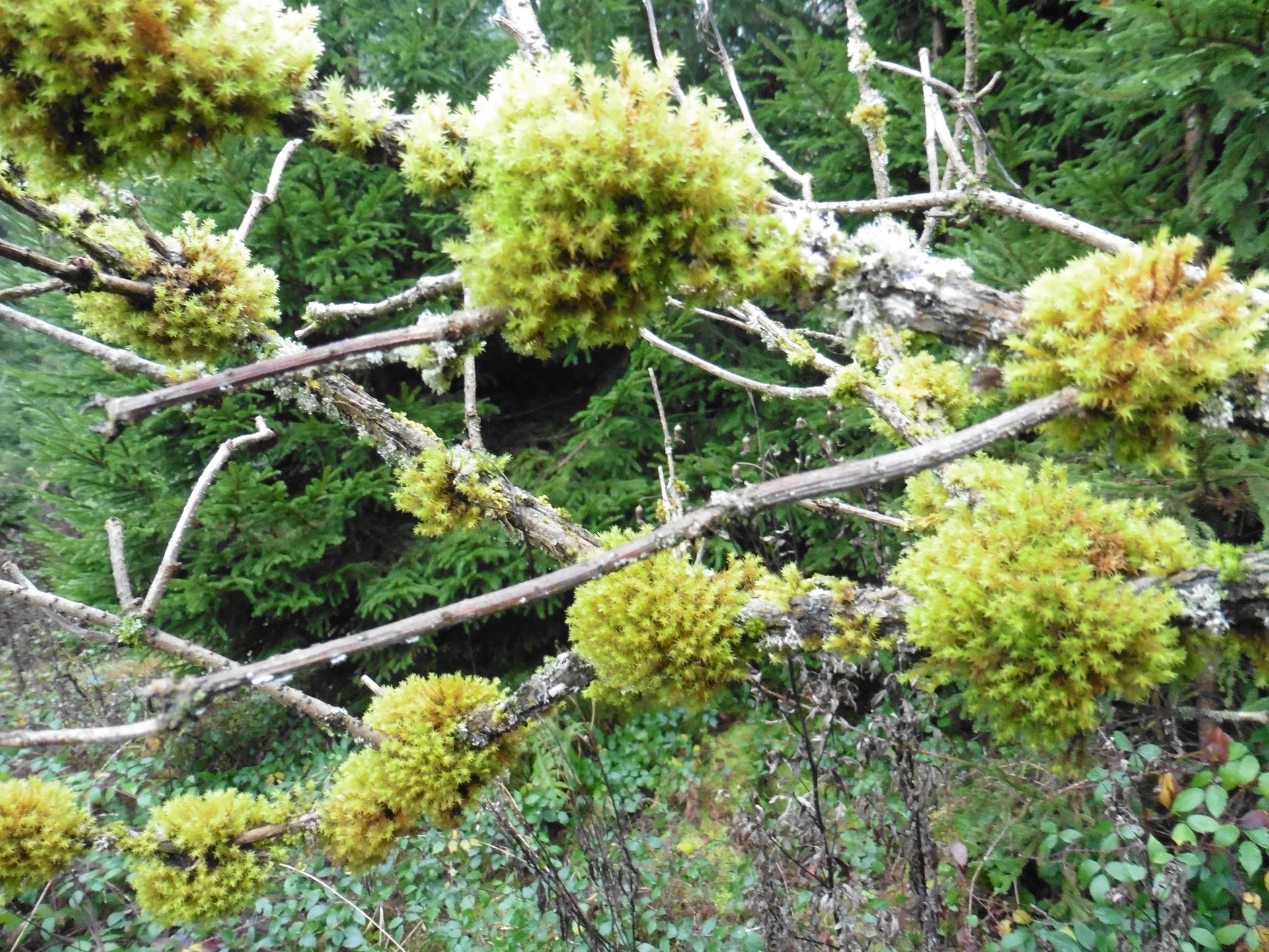 © DAV Augsburg Senioren